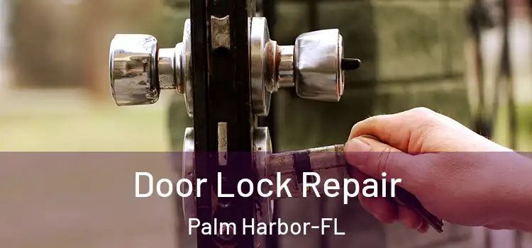 Door Lock Repair Palm Harbor-FL