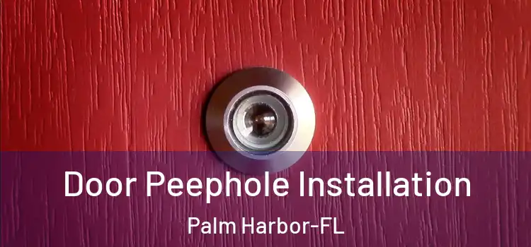  Door Peephole Installation Palm Harbor-FL