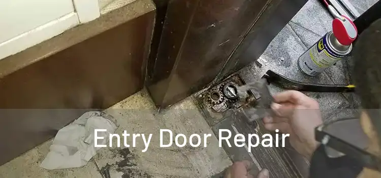 Entry Door Repair