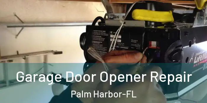 Garage Door Opener Repair Palm Harbor-FL