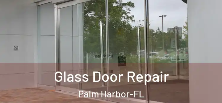 Glass Door Repair Palm Harbor-FL
