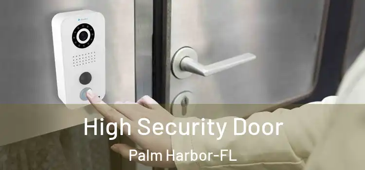  High Security Door Palm Harbor-FL